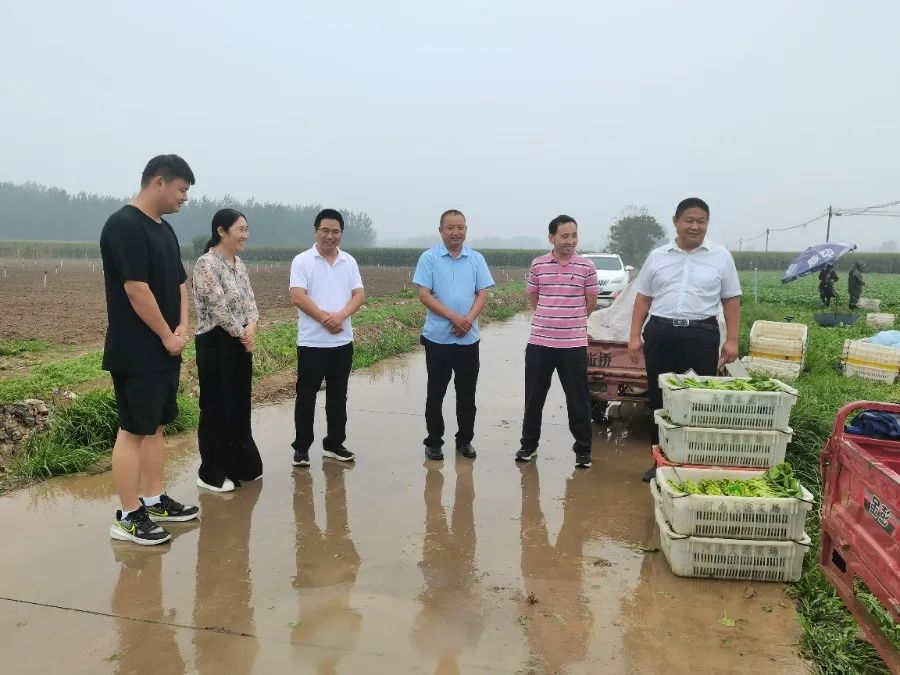 伟德国际1949始于英国