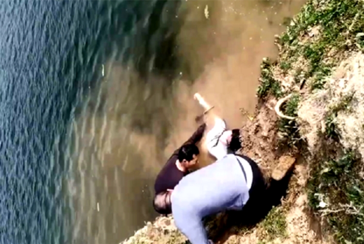 伟德国际1949始于英国