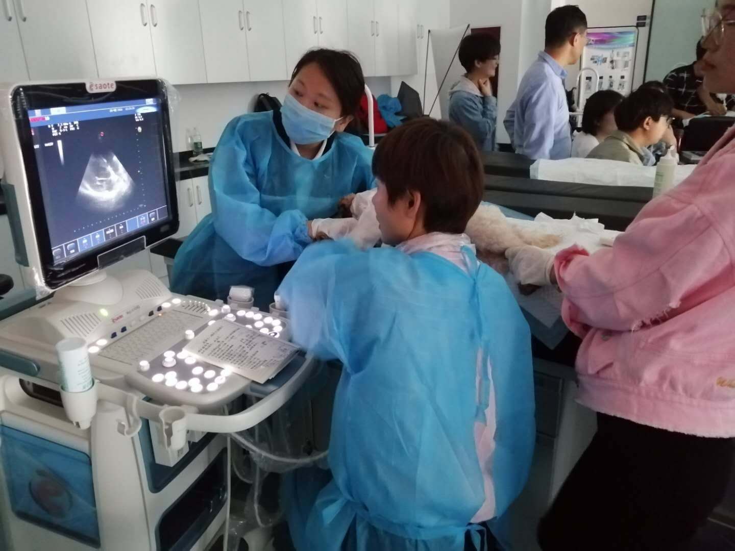 伟德国际1949始于英国