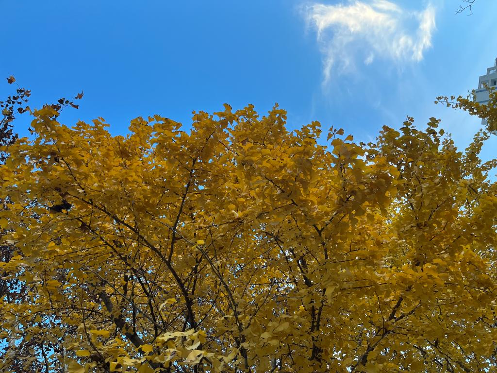 伟德国际1949始于英国