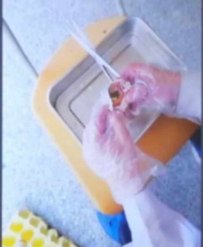 伟德国际1949始于英国