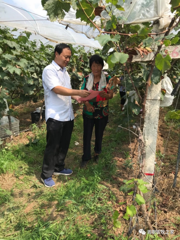 伟德国际1949始于英国