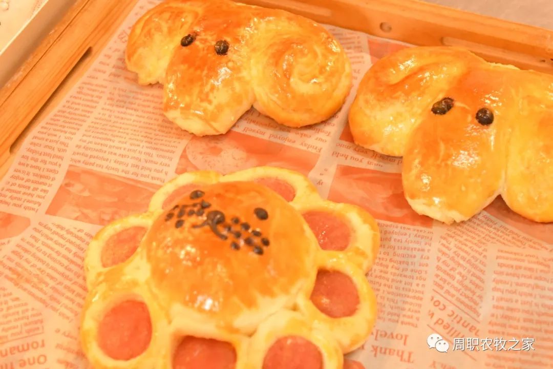 伟德国际1949始于英国