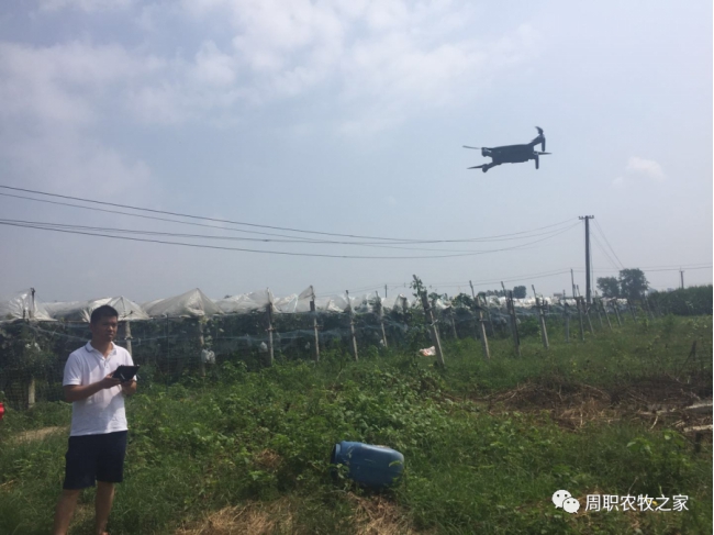 伟德国际1949始于英国