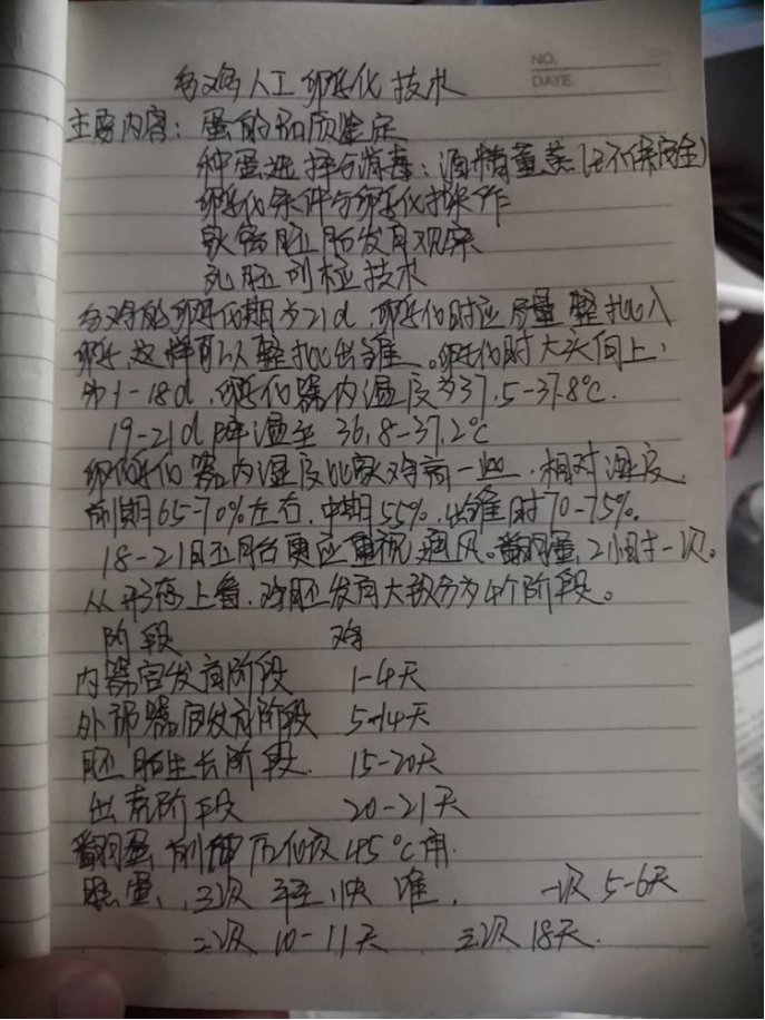 伟德国际1949始于英国