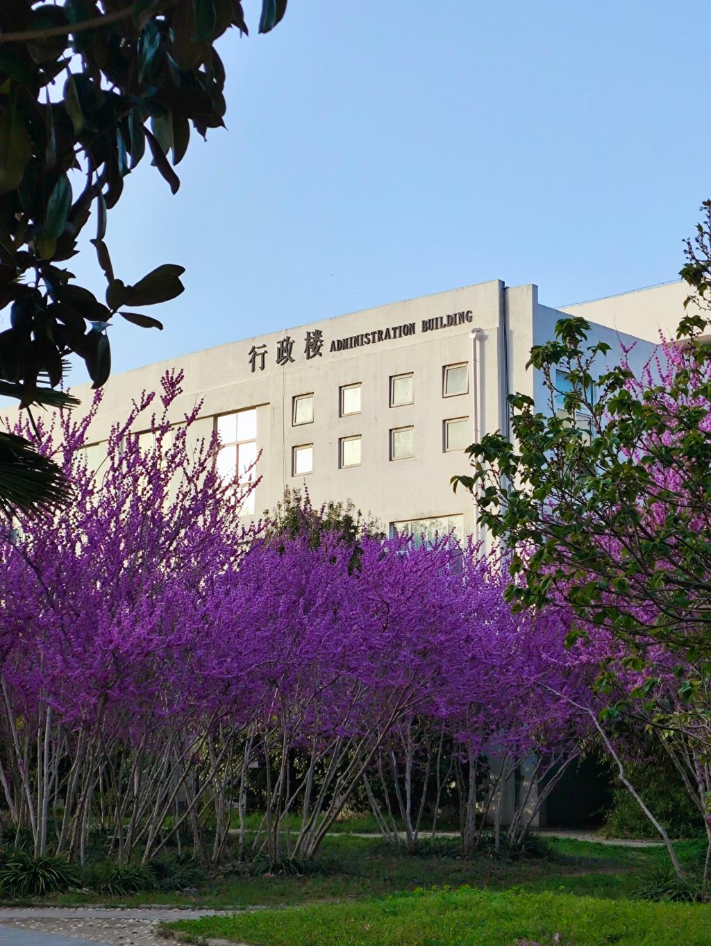 伟德国际1949始于英国