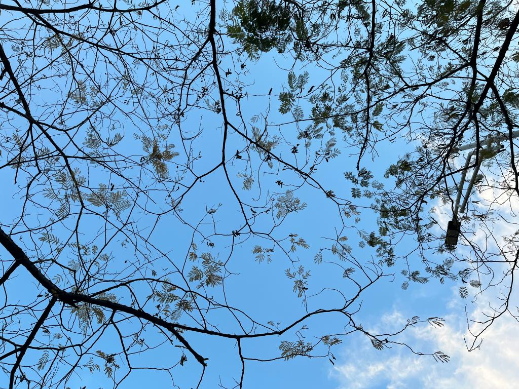 伟德国际1949始于英国